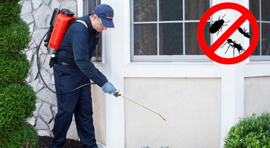 Dulkadiroğlu Tahtakurusu İlaçlama böcek ilaçlama ve haşere kontrolü — ilaclama-tr.com